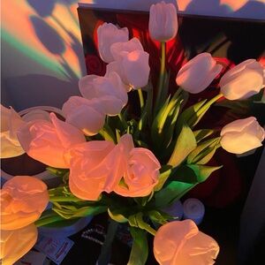 Meet your Posher, Cierra